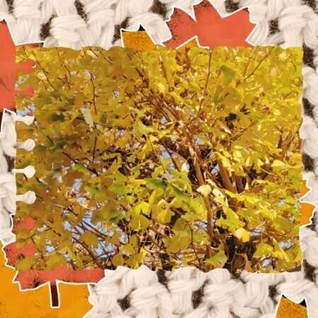 あきなです　明日以降の出勤です(*^^*)