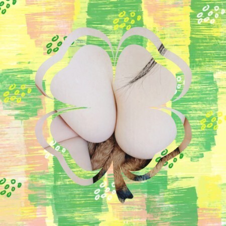 皆様おはようございます(_ _)