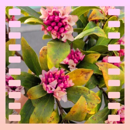 あきなです　こんばんは^_^