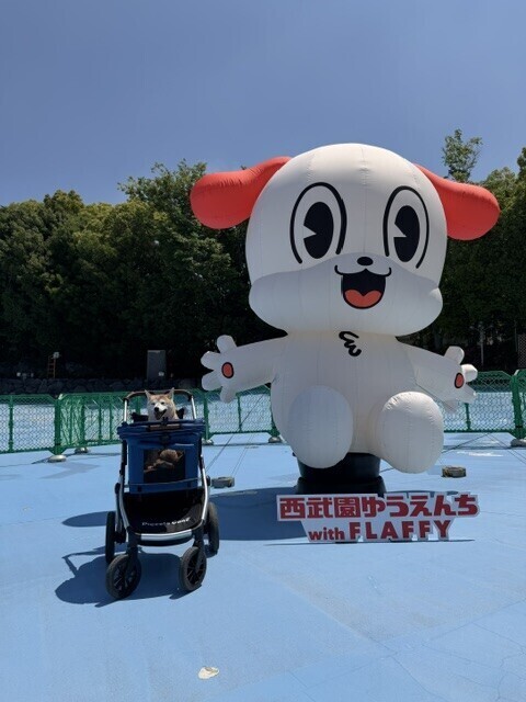 こんばんは