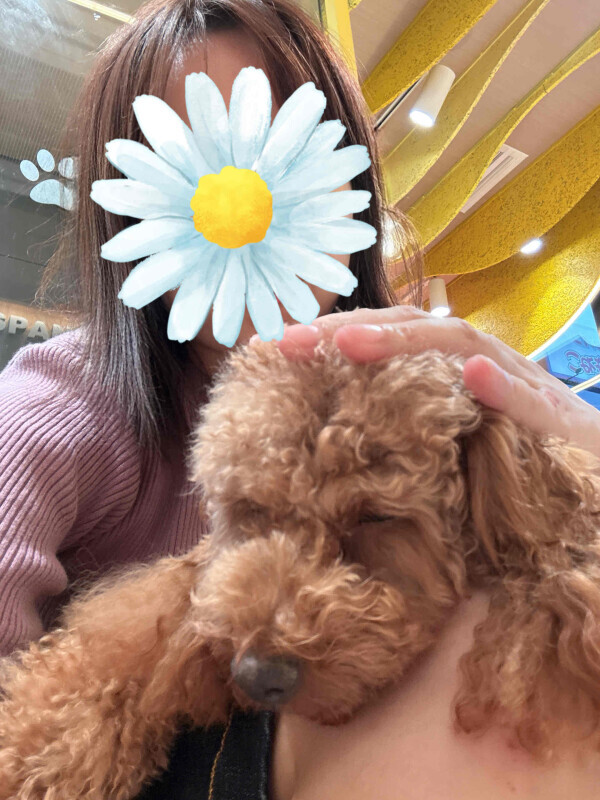 でわでわ～( _ _)zzz