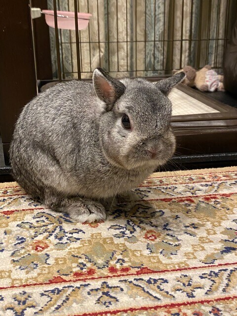 お礼