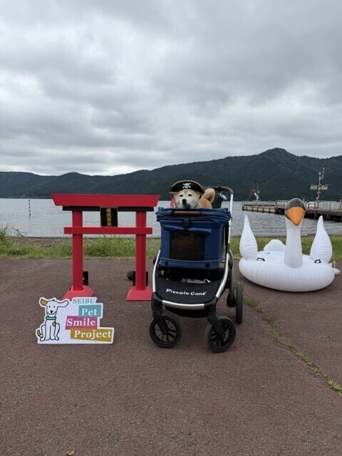 お礼