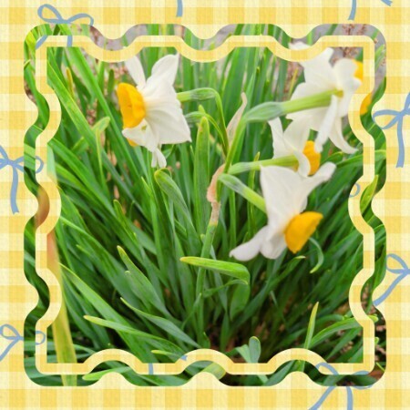 ちえみです　お久しぶりです^_^