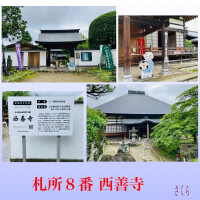 札所巡礼『西善寺』今回は14番目からスタート