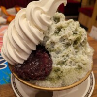 おはようございます(*^▽^*)
