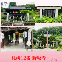 札所巡礼12『野坂寺』本日もよろしくお願いいたします