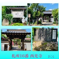 札所巡礼16『西光寺』と、明日出勤致します