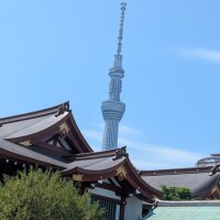 やよい
