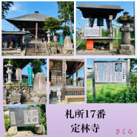 札所巡礼17『定林寺』と、次の出勤は日曜日