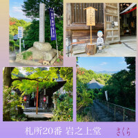 さくら