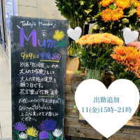 大人のひな祭りと、出勤追加のお知らせ
