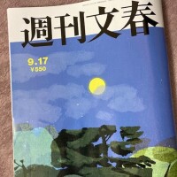 グラビアがね