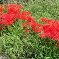 明日の出勤追加と、今後の予定