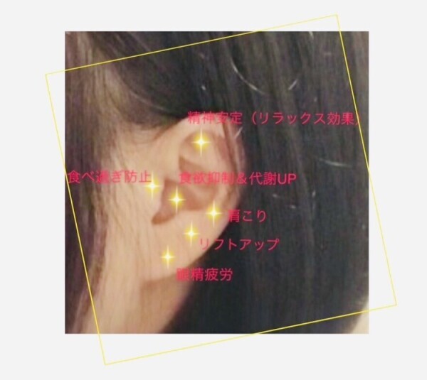 耳つぼマッサージと、再来週のお知らせ♀