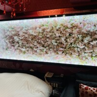 救世主