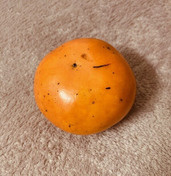 柿食えば、よりも