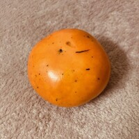 柿食えば、よりも