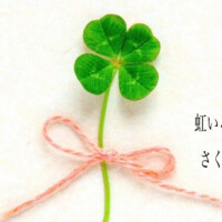 今後の出勤予定です