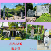 札所巡礼『菊水寺』と、本日もよろしくお願いいたします