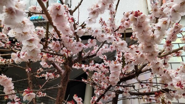 3月31日