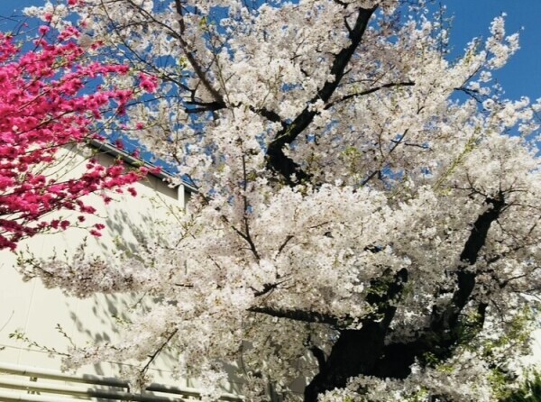 復帰2日目☆スケジュール