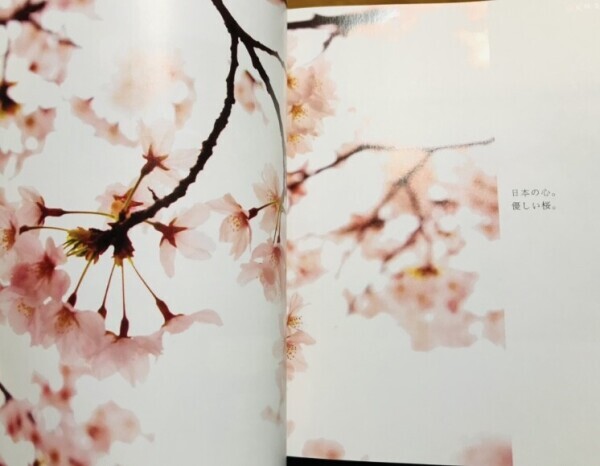 出勤致します(*^^*)
