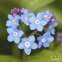 お待ちしております