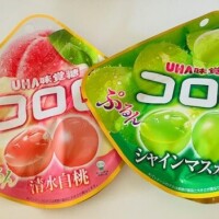 おやすみなさい