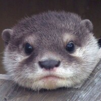 出勤中です