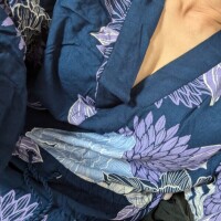 こんばんは(*^_^*)