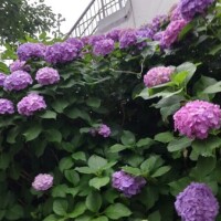 今日も暑かったですね