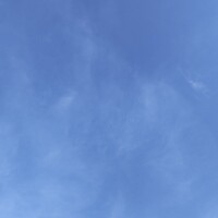 ともみ