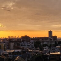 今日も暑かったですね