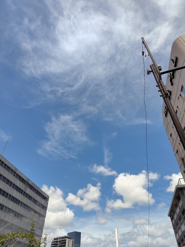 出勤しました