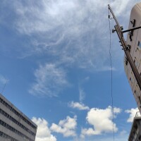 出勤しました