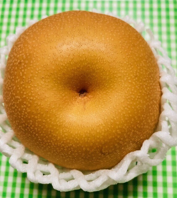 丸かじり