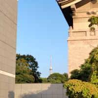 夏日？