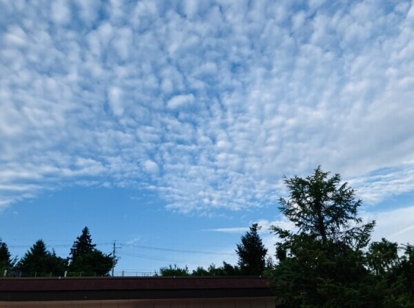 招かれざる客！？