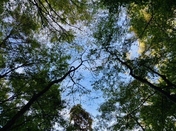 三度目の正直！？