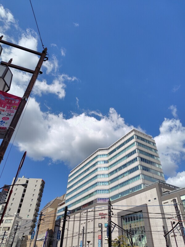 久しぶりに青空