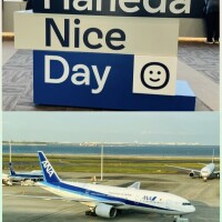 たまらなく好き