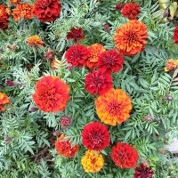 寒くなってきましたね