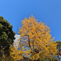 こんにちは(^o^)