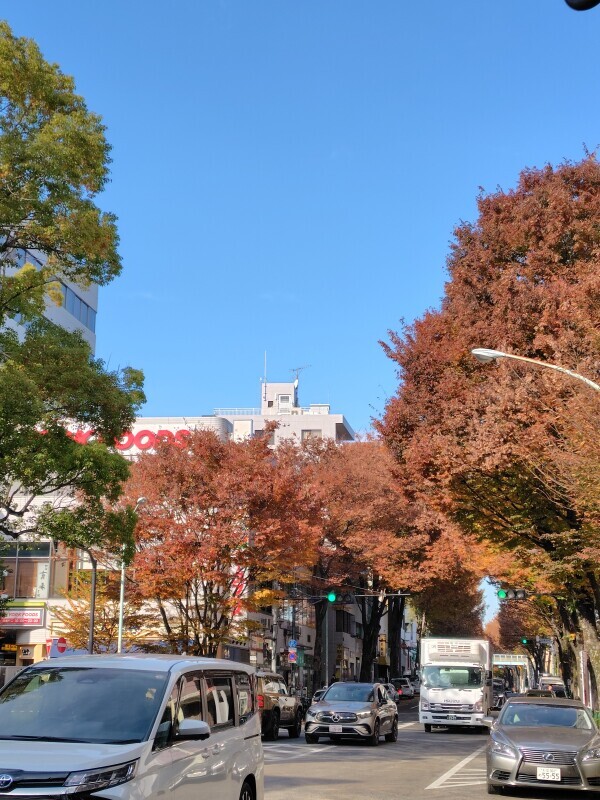 紅葉してきましたね