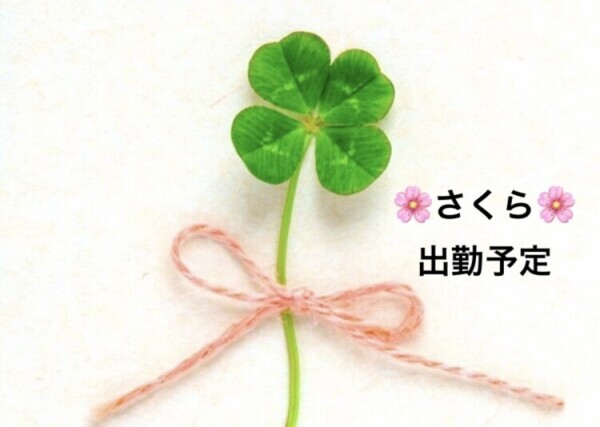 さくら出勤予定です