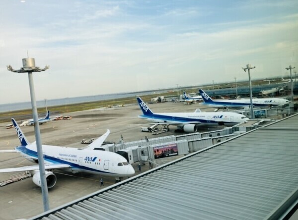 さくら出勤しました