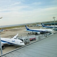 さくら出勤しました