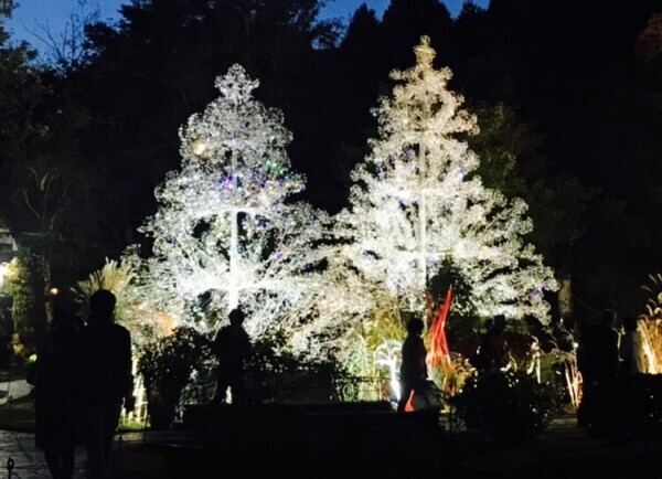 12月も宜しくお願いいたします