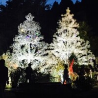 12月も宜しくお願いいたします